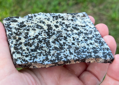 Wyoming Medicine Bow Dendritic Agate Lapidary Rock Slab - Lucky Calico Gem & Jewelry Co.