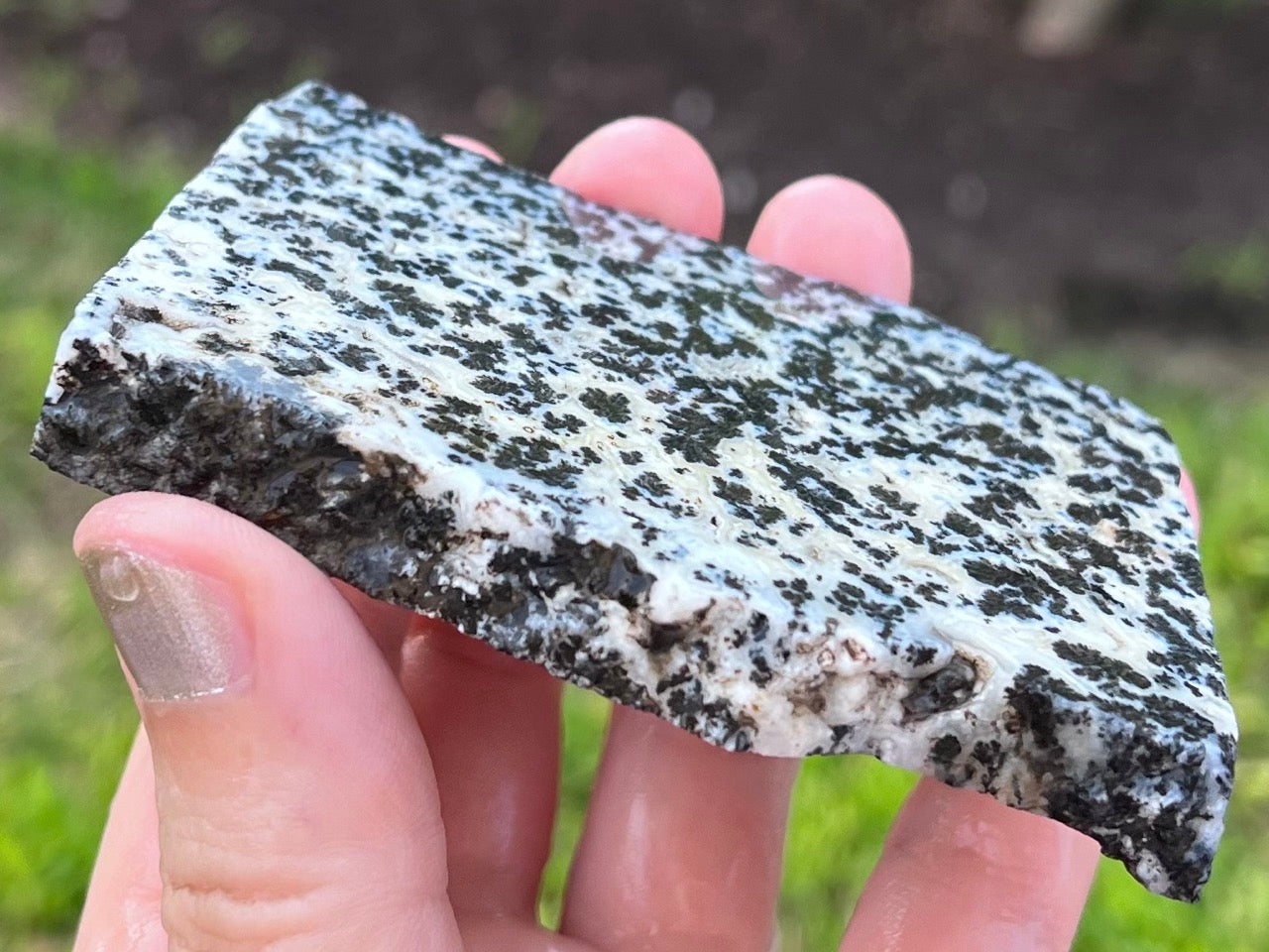 Wyoming Medicine Bow Dendritic Agate Lapidary Rock Slab - Lucky Calico Gem & Jewelry Co.