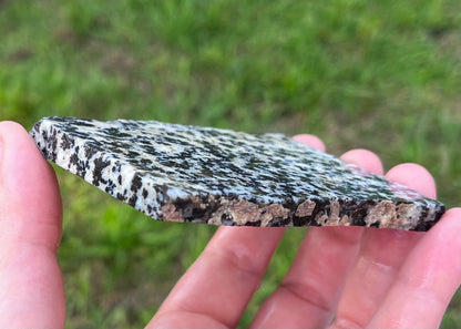 Wyoming Medicine Bow Dendritic Agate Lapidary Rock Slab - Lucky Calico Gem & Jewelry Co.