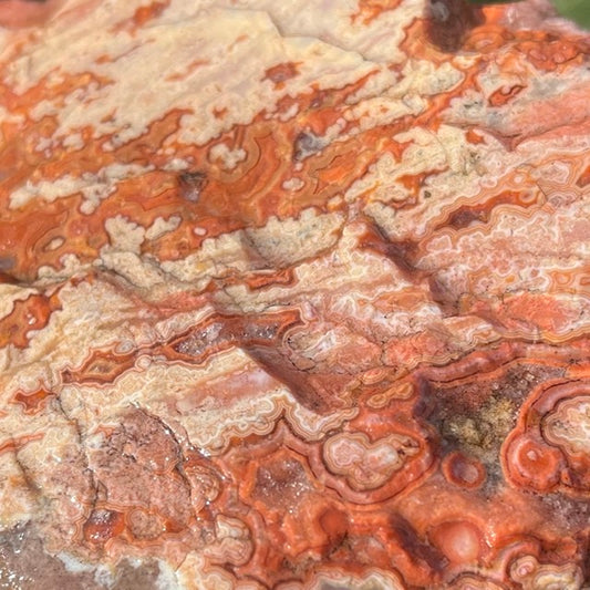 Montana Dryhead Agate Lapidary Rough Rock Crystal Specimen - Lucky Calico Gem & Jewelry Co.