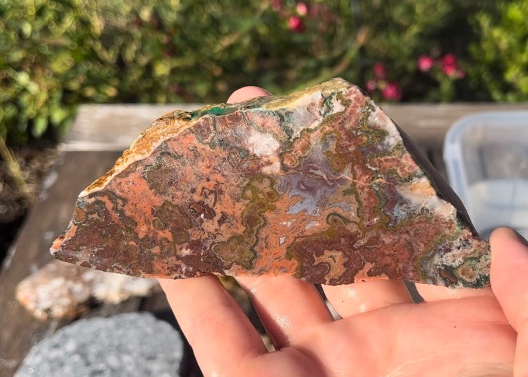 Moroccan Kerrouchen Agate Lapidary Rock Slab