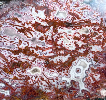 Moroccan Pseudomorph Agate Lapidary Rock Slab - Lucky Calico Gem & Jewelry Co.