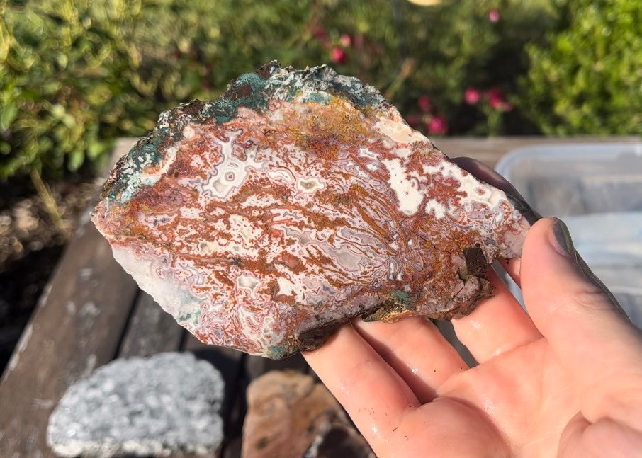 Moroccan Pseudomorph Agate Lapidary Rock Slab - Lucky Calico Gem & Jewelry Co.