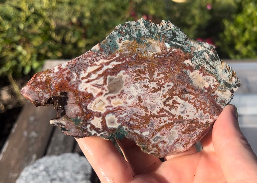 Moroccan Pseudomorph Agate Lapidary Rock Slab - Lucky Calico Gem & Jewelry Co.