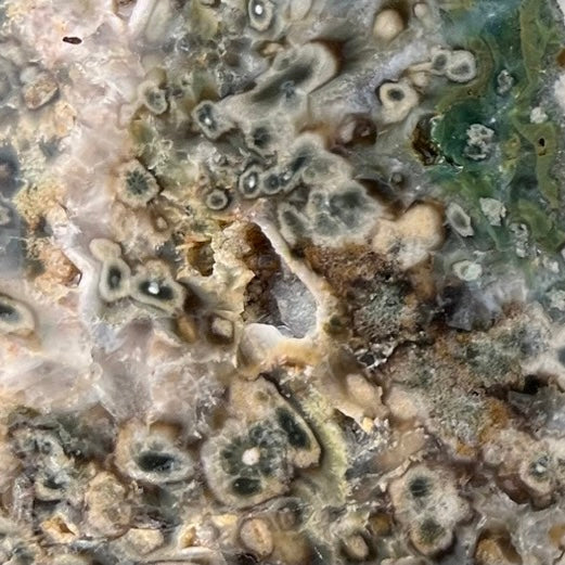 Ocean Jasper Lapidary Rock Slab - Lucky Calico Gem & Jewelry Co.