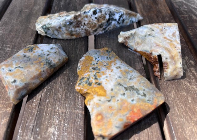 Ocean Jasper Lapidary Rough Rock Trim Cuts - Lucky Calico Gem & Jewelry Co.