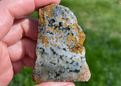 Ocean Jasper Lapidary Rough Rock Trim Cuts - Lucky Calico Gem & Jewelry Co.