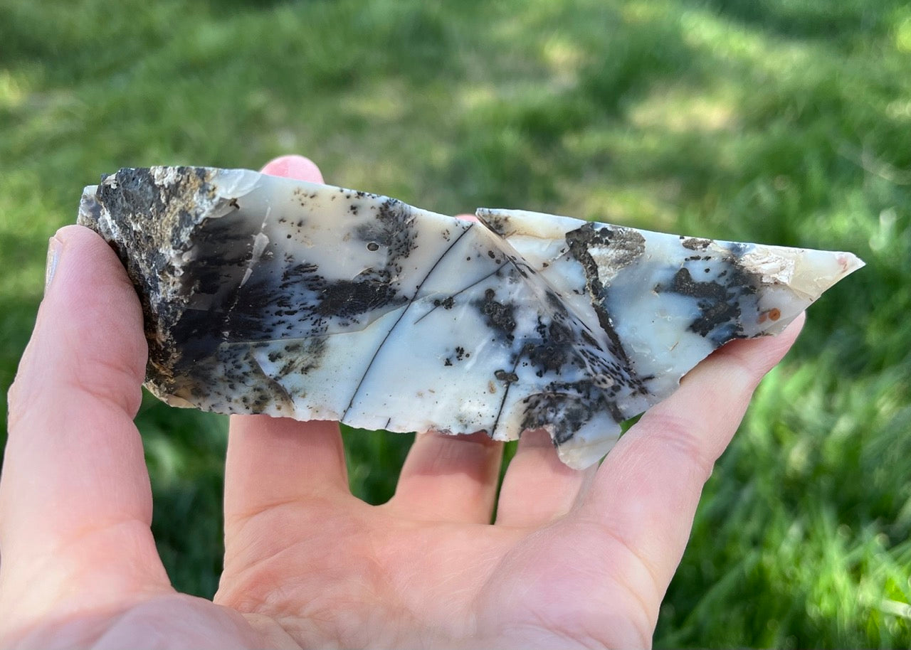 Mexico Parral Dendritic Agate Lapidary Faced Rough Rock Specimen - Lucky Calico Gem & Jewelry Co.