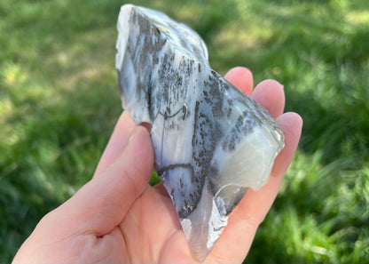 Mexico Parral Dendritic Agate Lapidary Faced Rough Rock Specimen - Lucky Calico Gem & Jewelry Co.