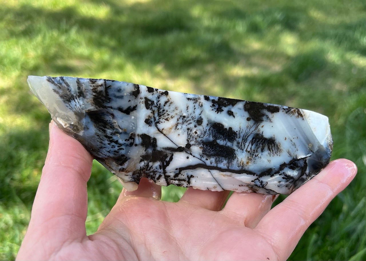 Mexico Parral Dendritic Agate Lapidary Faced Rough Rock Specimen - Lucky Calico Gem & Jewelry Co.