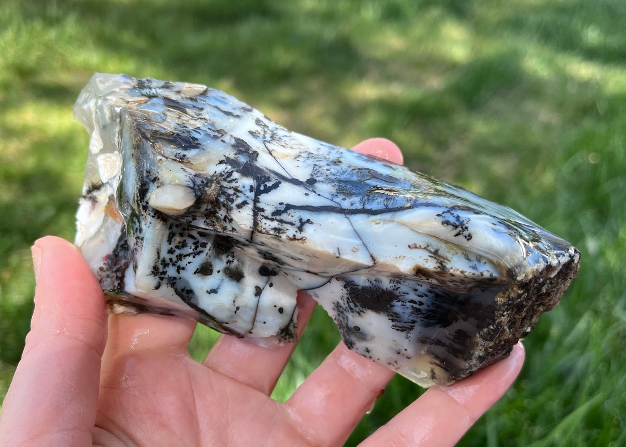 Mexico Parral Dendritic Agate Lapidary Faced Rough Rock Specimen - Lucky Calico Gem & Jewelry Co.