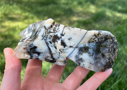 Mexico Parral Dendritic Agate Lapidary Faced Rough Rock Specimen - Lucky Calico Gem & Jewelry Co.