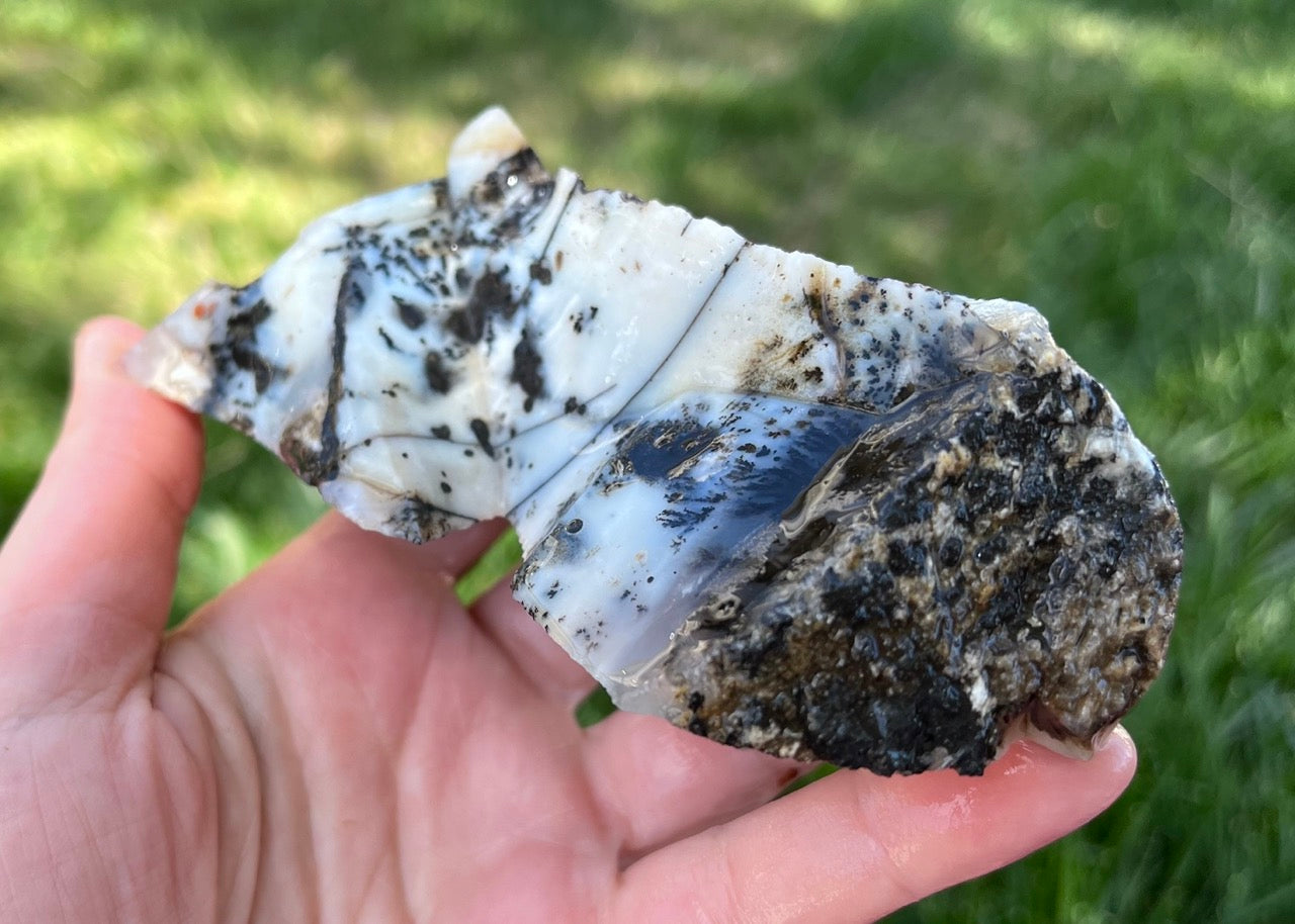 Mexico Parral Dendritic Agate Lapidary Faced Rough Rock Specimen - Lucky Calico Gem & Jewelry Co.