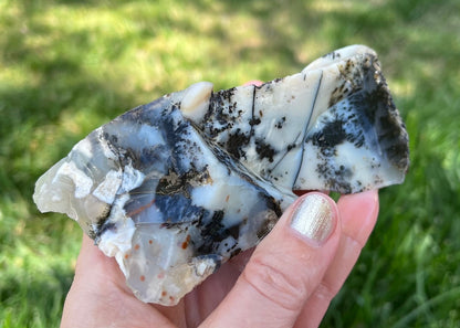 Mexico Parral Dendritic Agate Lapidary Faced Rough Rock Specimen - Lucky Calico Gem & Jewelry Co.