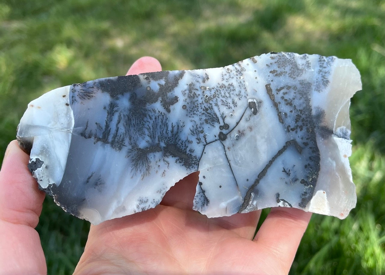 Mexico Parral Dendritic Agate Lapidary Faced Rough Rock Specimen - Lucky Calico Gem & Jewelry Co.