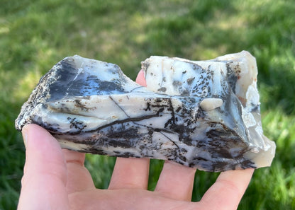 Mexico Parral Dendritic Agate Lapidary Faced Rough Rock Specimen - Lucky Calico Gem & Jewelry Co.