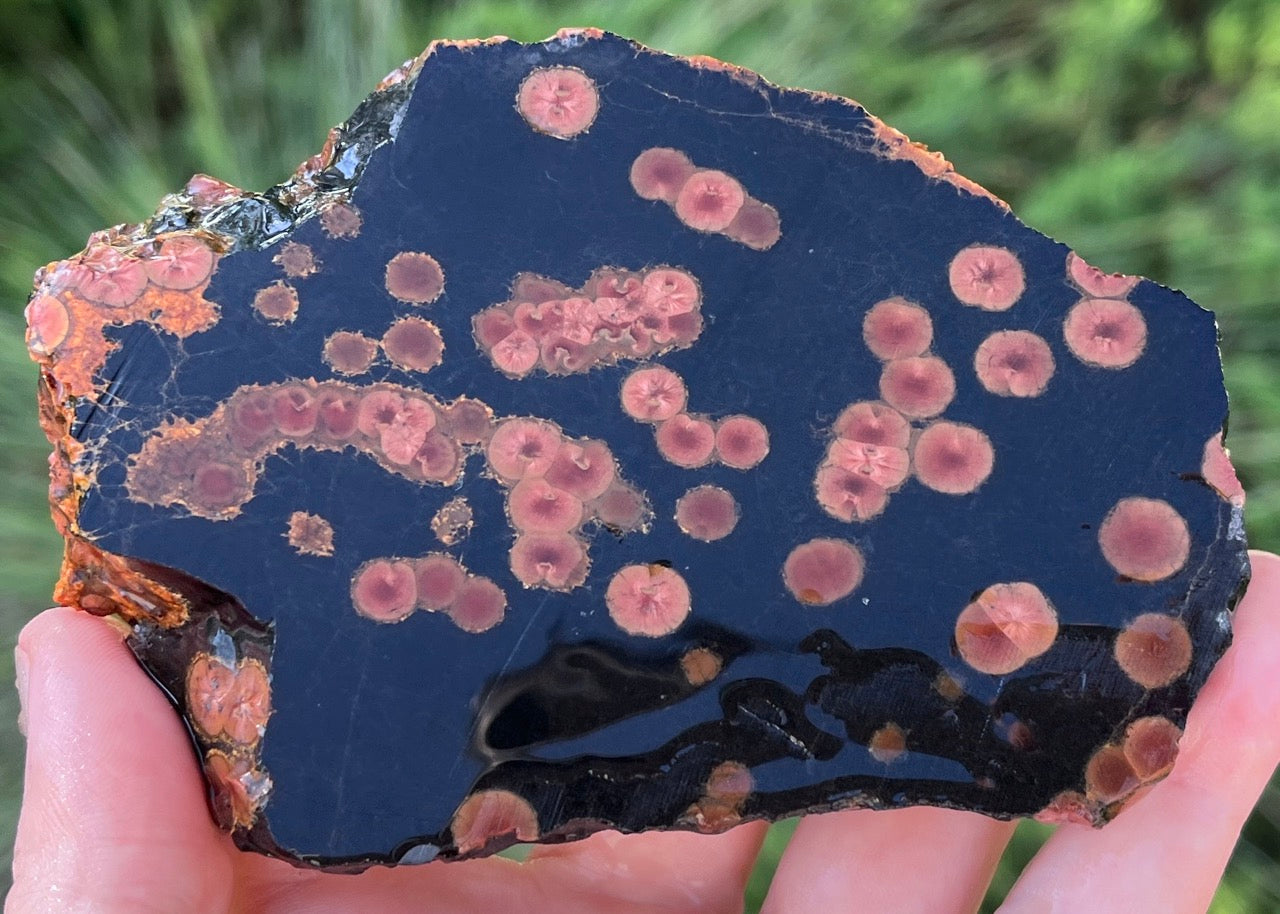 Mexico Peanut Obsidian Lapidary Rock Slab - Lucky Calico Gem & Jewelry Co.