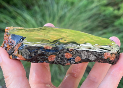 Mexico Peanut Obsidian Lapidary Rock Slab - Lucky Calico Gem & Jewelry Co.