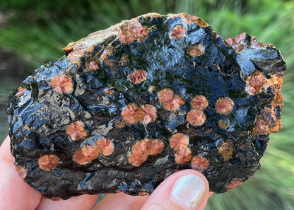 Mexico Peanut Obsidian Lapidary Rock Slab - Lucky Calico Gem & Jewelry Co.