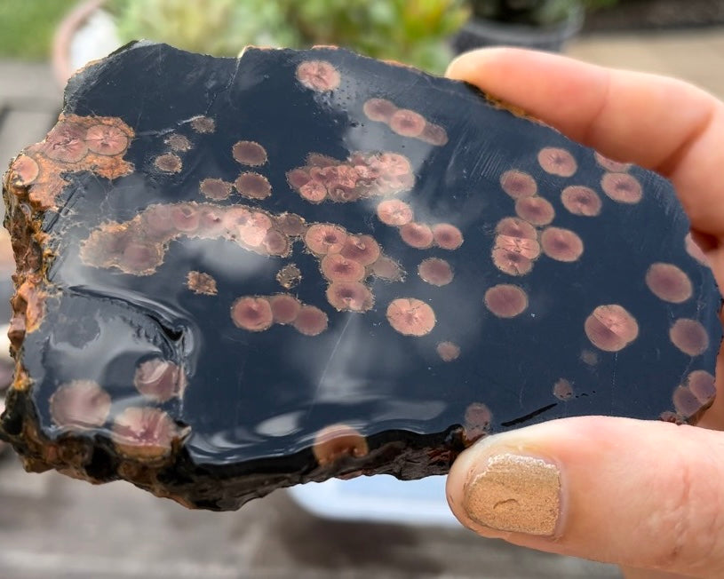 Mexico Peanut Obsidian Lapidary Rock Slab - Lucky Calico Gem & Jewelry Co.