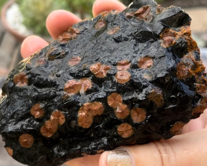 Mexico Peanut Obsidian Lapidary Rock Slab - Lucky Calico Gem & Jewelry Co.