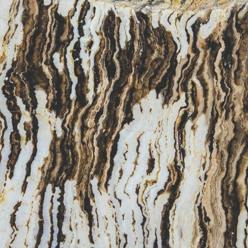 Petrified Zebra Wood Lapidary Rock Slab - Lucky Calico Gem & Jewelry Co.