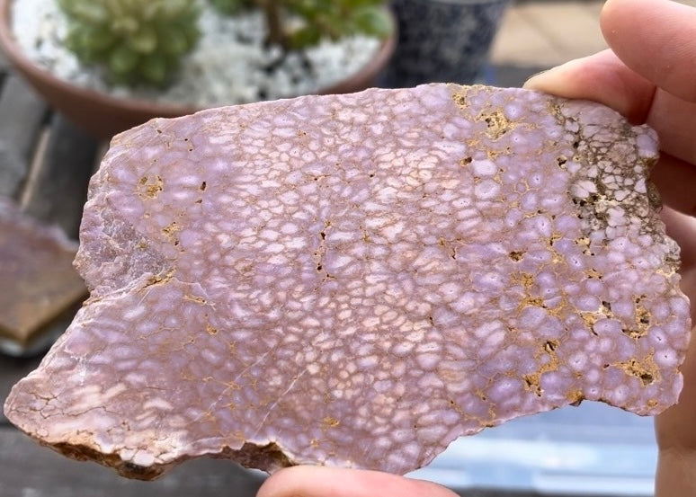 Argentina Purple Phosphosiderite Lapidary Rock Slab - Lucky Calico Gem & Jewelry Co.