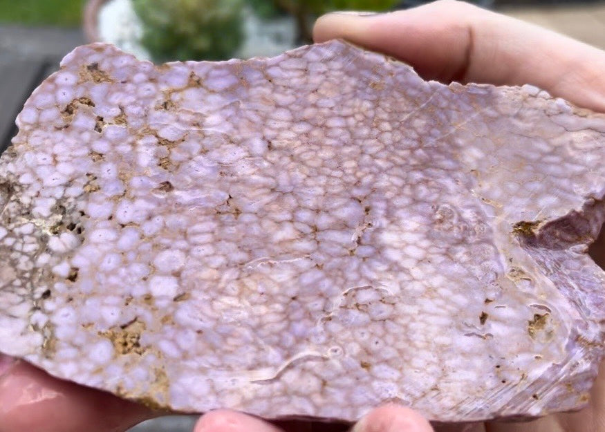 Argentina Purple Phosphosiderite Lapidary Rock Slab - Lucky Calico Gem & Jewelry Co.