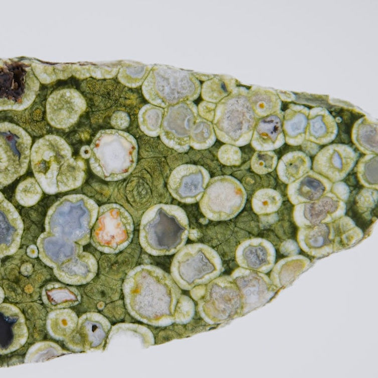 Australian Orbicular Rainforest Jasper Rhyolite Lapidary Rock Slab - Lucky Calico Gem & Jewelry Co.