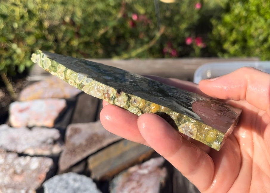 Australian Rainforest Jasper Rhyolite Lapidary Rock Slab - Lucky Calico