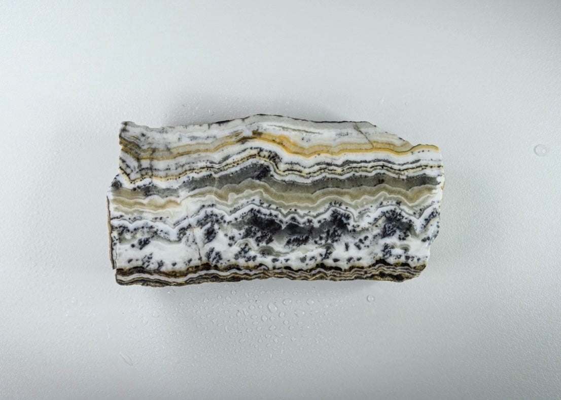 California Silver Lace Onyx Lapidary Rock Slab - Lucky Calico Gem & Jewelry Co.