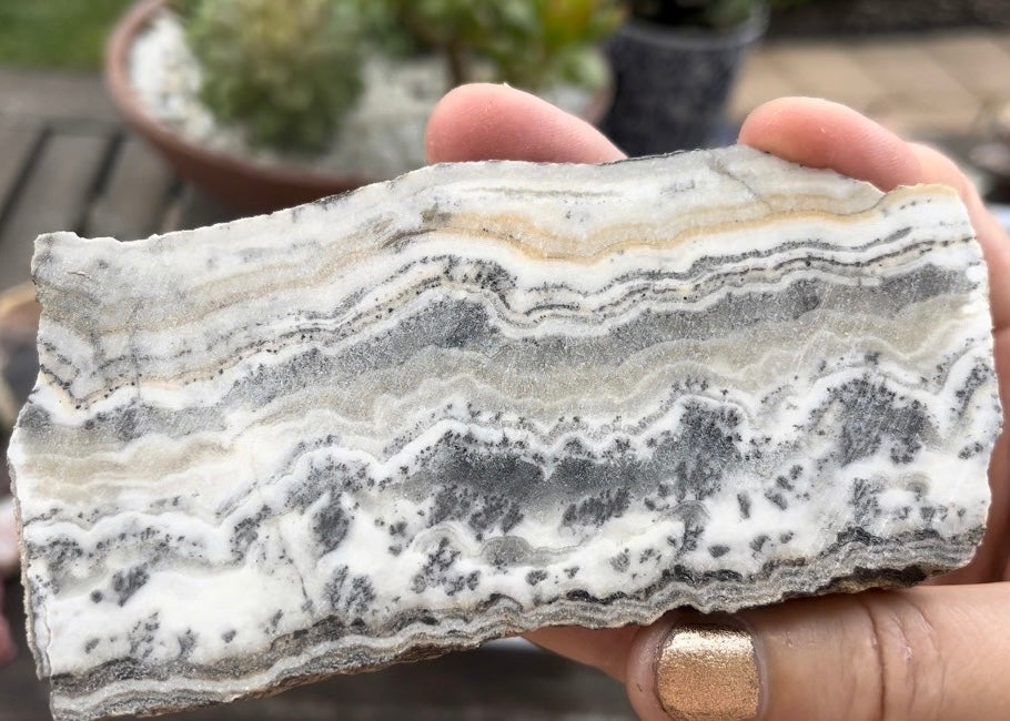 California Silver Lace Onyx Lapidary Rock Slab - Lucky Calico Gem & Jewelry Co.