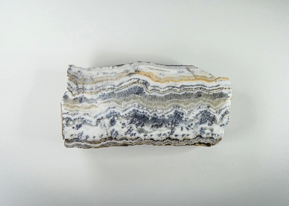 California Silver Lace Onyx Lapidary Rock Slab - Lucky Calico Gem & Jewelry Co.