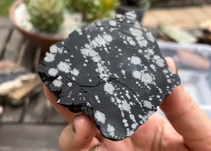 Utah Snowflake Obsidian Lapidary Rock Slab - Lucky Calico Gem & Jewelry Co.