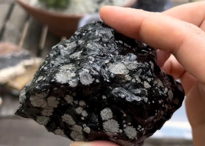 Utah Snowflake Obsidian Lapidary Rock Slab - Lucky Calico Gem & Jewelry Co.