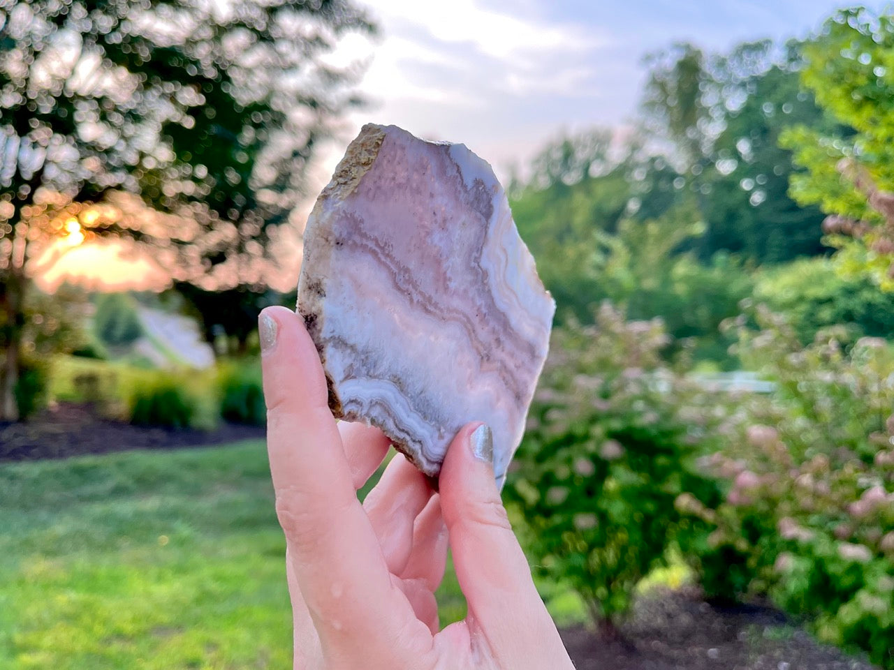 Colorado Sowbelly Agate Lapidary Rock Slab - Lucky Calico Gem & Jewelry Co.