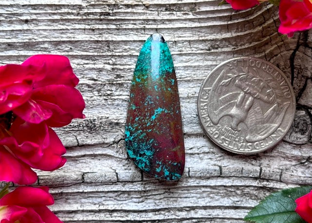 Sonora Sunrise/Sunset Chrysocolla Cabochon