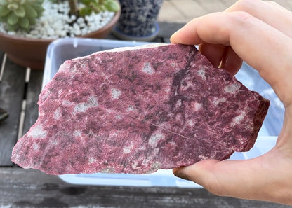 Pink Norwegian Thulite Lapidary Rock Slab - Lucky Calico Gem & Jewelry Co.