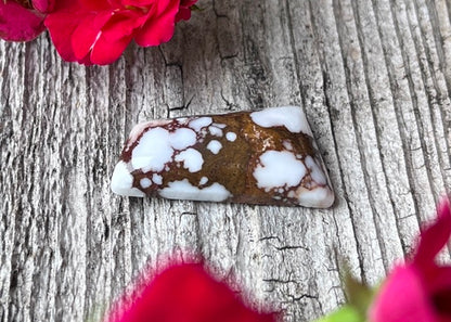 Wild Horse Magnesite Cabochon