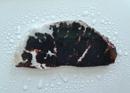 Texas Woodward Ranch Plume Agate Lapidary Rock Slab