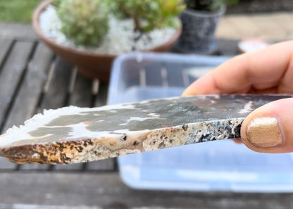 Texas Woodward Ranch Plume Agate Lapidary Rock Slab