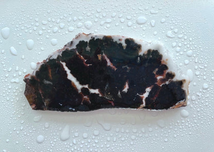 Texas Woodward Ranch Plume Agate Lapidary Rock Slab