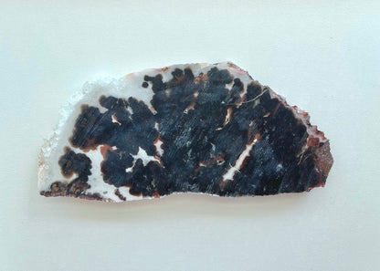 Texas Woodward Ranch Plume Agate Lapidary Rock Slab