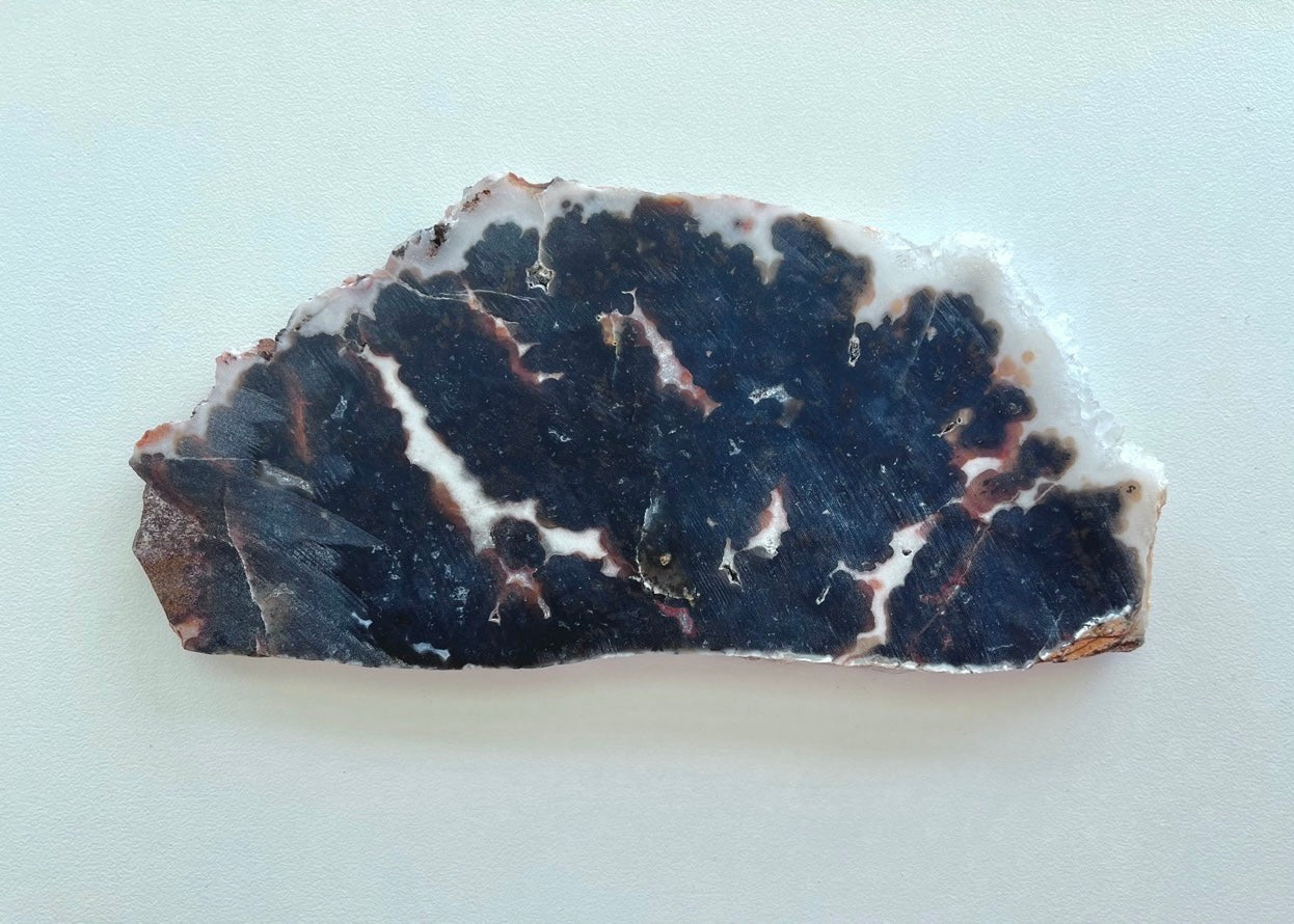 Texas Woodward Ranch Plume Agate Lapidary Rock Slab