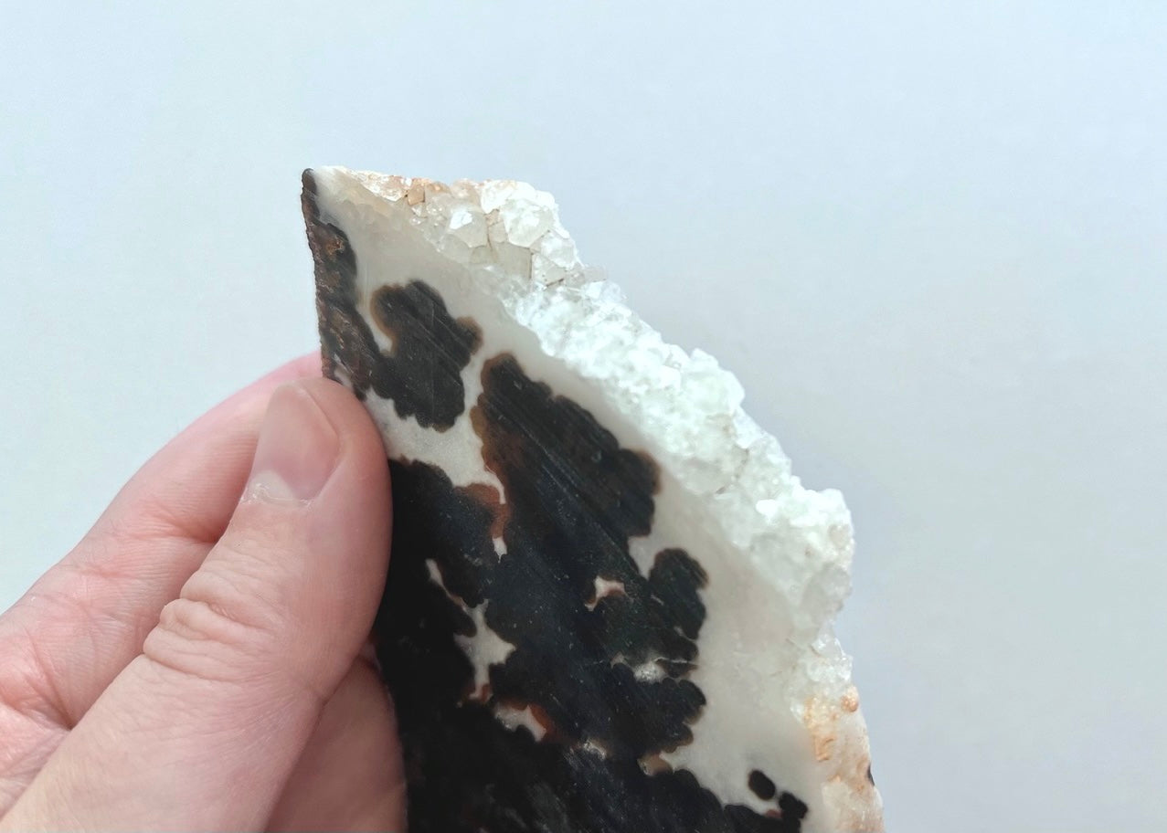 Texas Woodward Ranch Plume Agate Lapidary Rock Slab