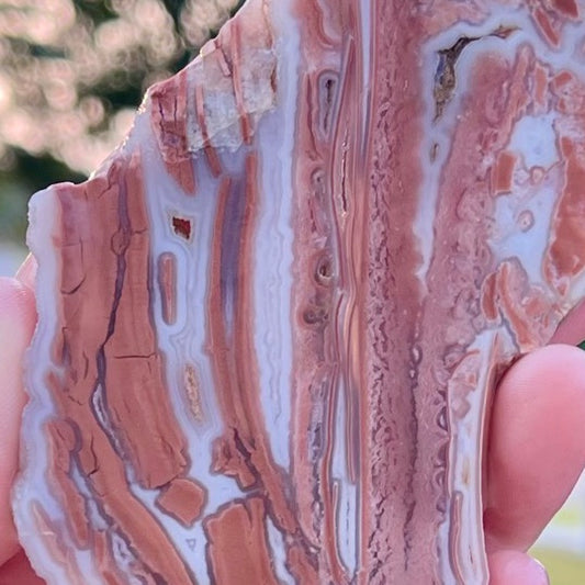 Rare Wyoming Youngite Agate Lapidary Rock Slab - Detail