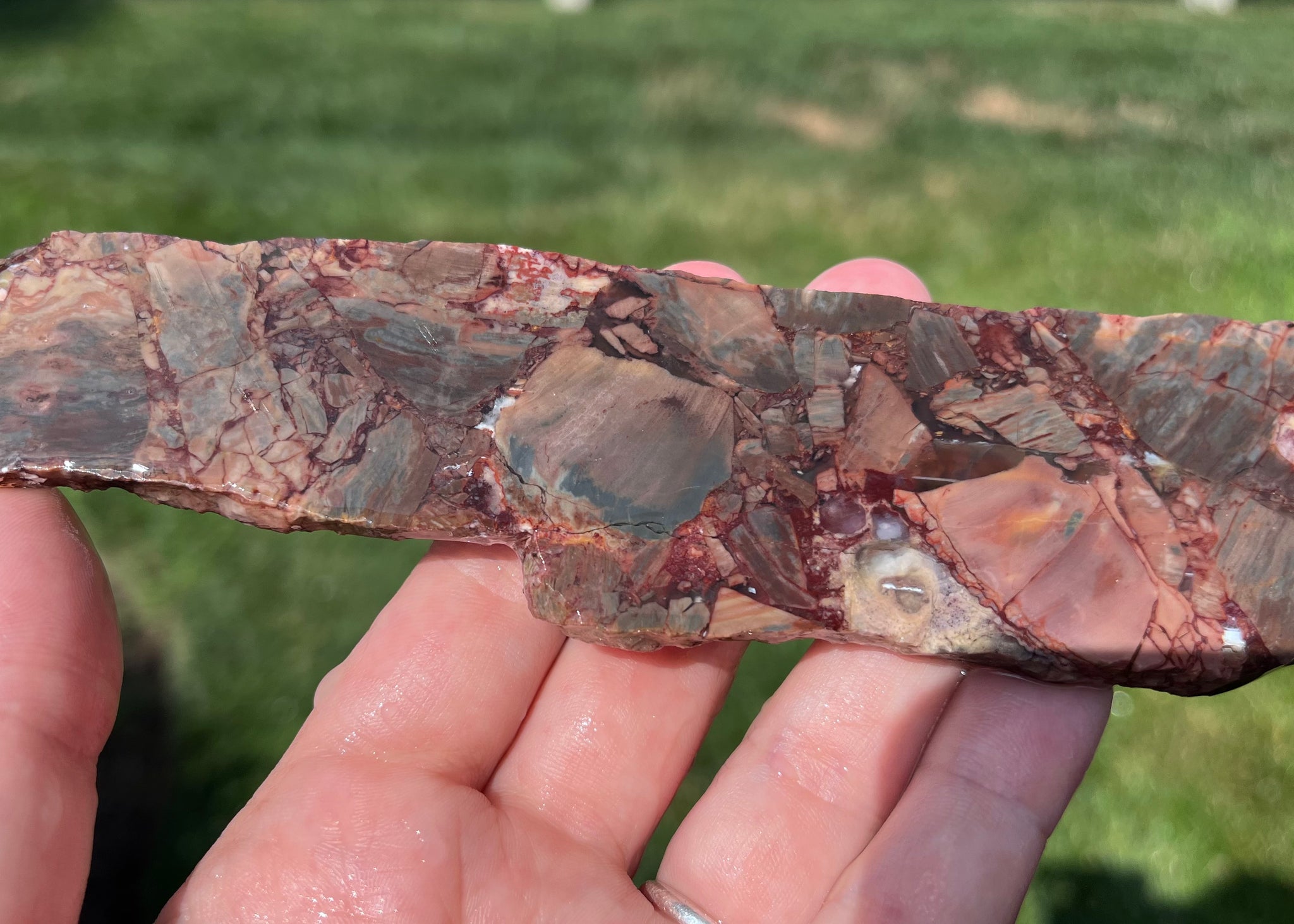 Mexican Butterfly Wing Jasper Rhyolite Lapidary Rock Slab