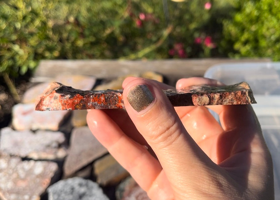 Mexican Crazy Lace Agate Lapidary Rock Slab