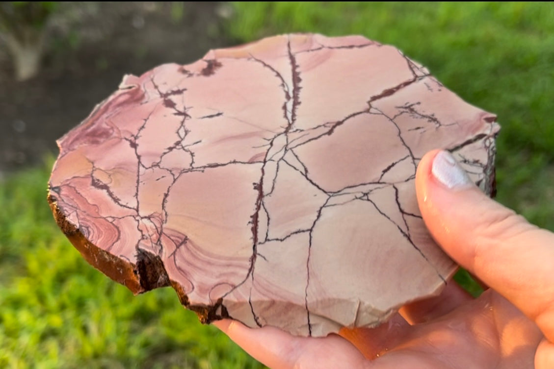 Nevada Pink Fire Ledge Jasper Lapidary Rock Slab