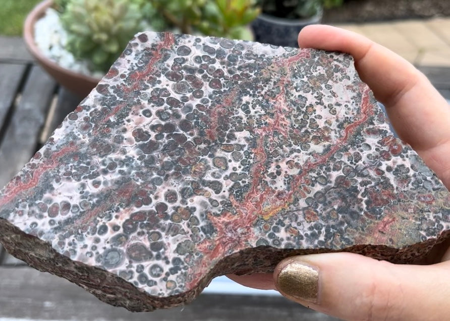 Leopard Skin Jasper Rhyolite Lapidary Rock Slab - Lucky Calico Gem & Jewelry Co.